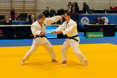 Gijon_Goshin_Hinteregger03-scaled