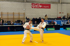 Gijon_Goshin_Hinteregger06-scaled